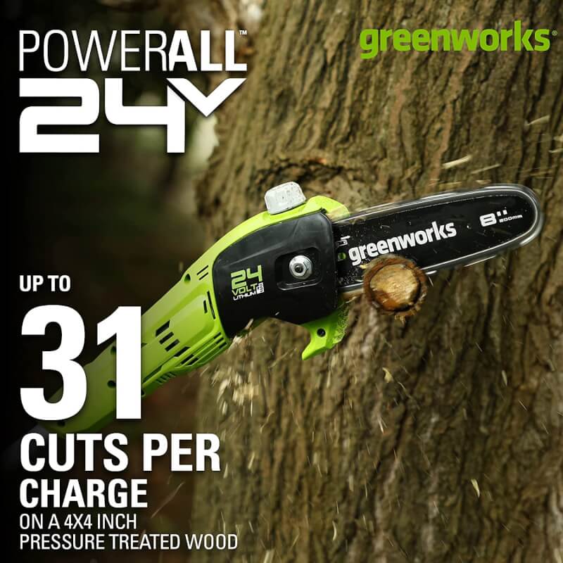 24V 8" Pole Saw, 2.0Ah Battery and Charger Included, PS24B210