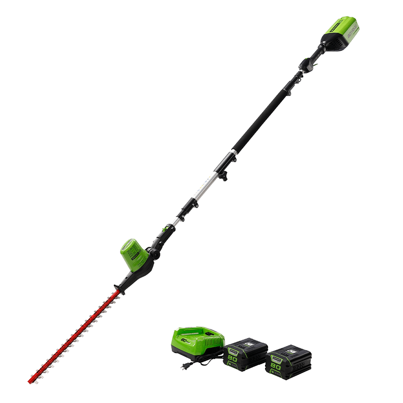 Taille-haie à perche 80 V, 20 pouces, (2) batteries et chargeur de 2,0 Ah