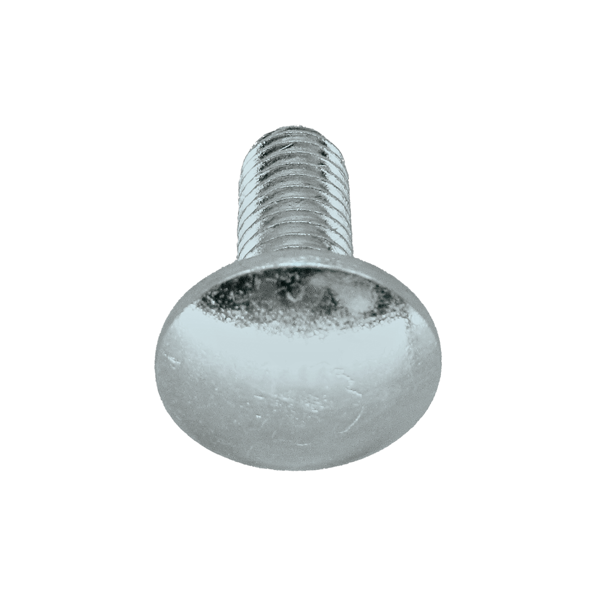 Cup Head Bolt