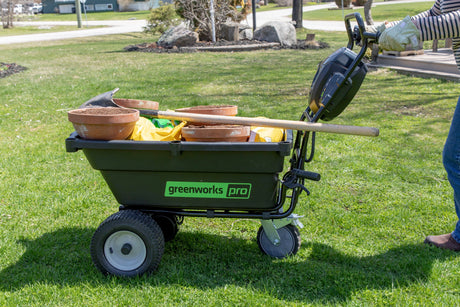 Spring Gardening Tips: Get Your Garden Blooming with Greenworks Tools