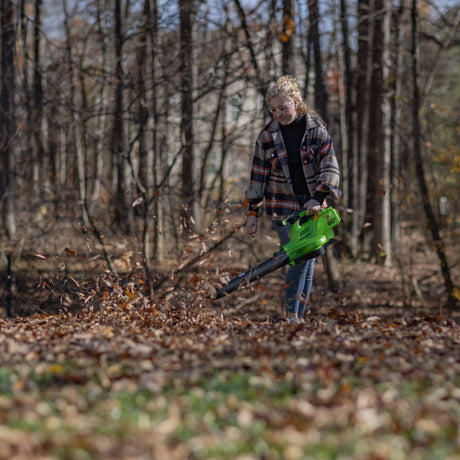quiet leaf blower