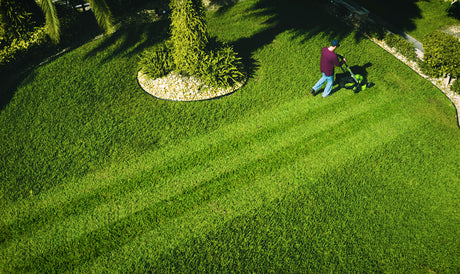 Lawn Striping Basics: Create a Stunning Lawn with These Pro Tips