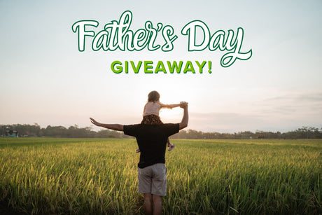 Celebrate Dad’s Hard Work with a Greenworks Father’s Day Special Gifts