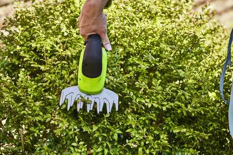 Greenworks Guide: Prune and Maintain Flowering Trees This Spring