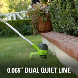 Coupe-herbe 40 V, 12 pouces, batterie 4,0 Ah et chargeur inclus