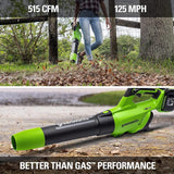 48V (24V x 2) 515 CFM - 125 MPH  Leaf Blower, (2)  2.0Ah USB Batteries and 4A Dual Port Charger Included