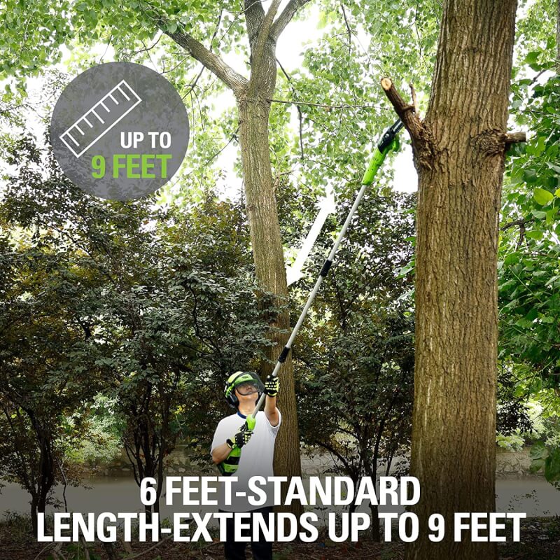 24V 8" Pole Saw, 2.0Ah Battery and Charger Included, PS24B210