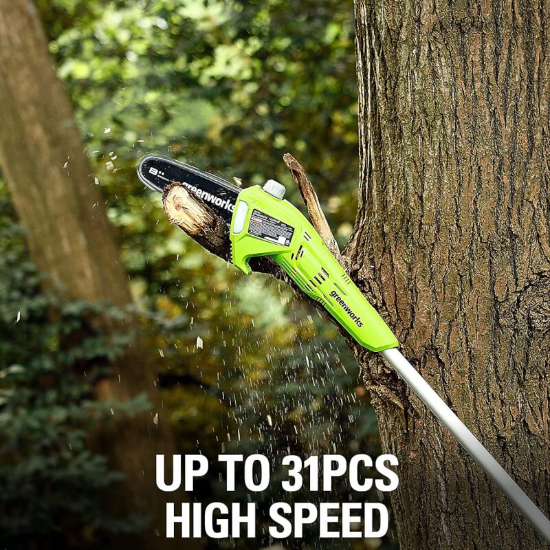 24V 8" Pole Saw, 2.0Ah Battery and Charger Included, PS24B210