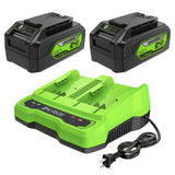 Ensemble 24 V de batteries USB Greenworks 4,0 Ah (Paquet de 2), et chargeur rapide à double port