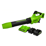 48V (24V x 2) 515 CFM - 125 MPH  Leaf Blower, (2)  2.0Ah USB Batteries and 4A Dual Port Charger Included