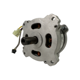 80V Motor (2500402)