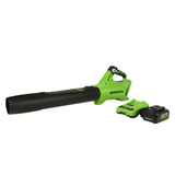 Souffleur à feuilles sans balais 24 V, batterie USB 4,0 Ah et chargeur inclus – BL24L410