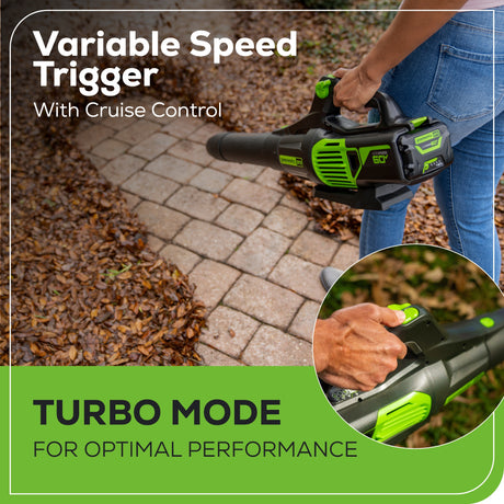 ENGLISH