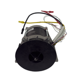 60V Main Motor