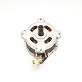 80V Motor