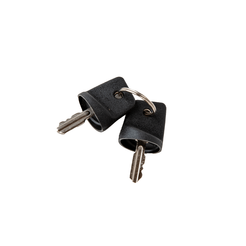 2 Pack Safety Keys