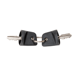 2 Pack Safety Keys