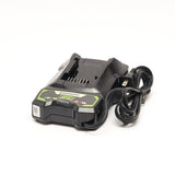 Chargeur de batterie Commercial Dual-Volt
