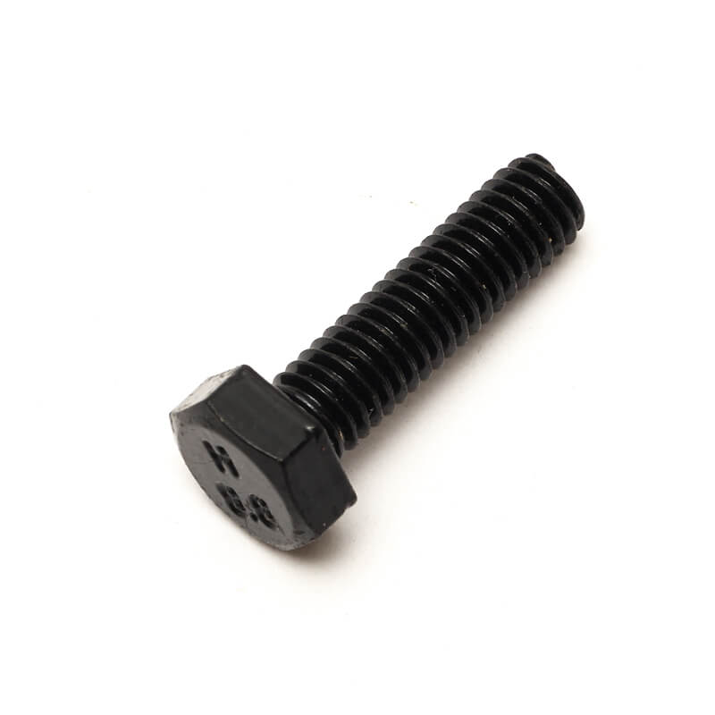 Hex Screw & Bolt (M6)
